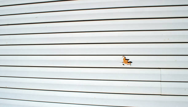 Storm Damage Siding Repair in Byram Center, NJ