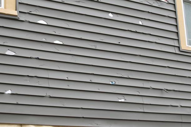 Best Aluminum Siding Installation  in Byram Center, NJ