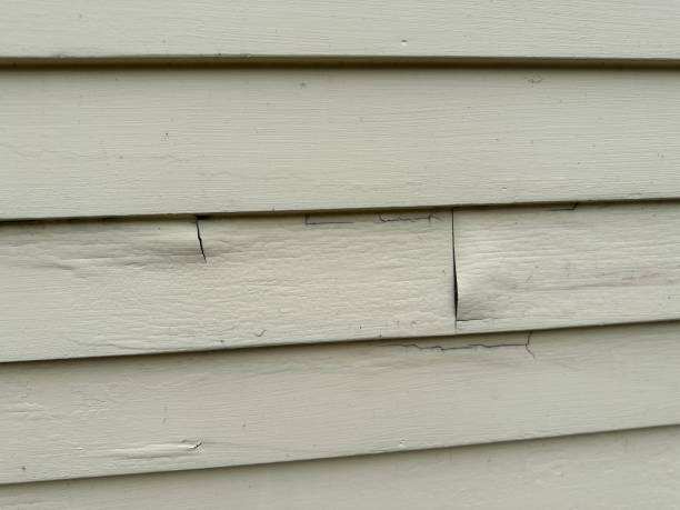 Best Custom Trim and Detailing for Siding  in Byram Center, NJ